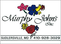 Murphy John's